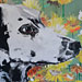 Jennifer Bloom Art